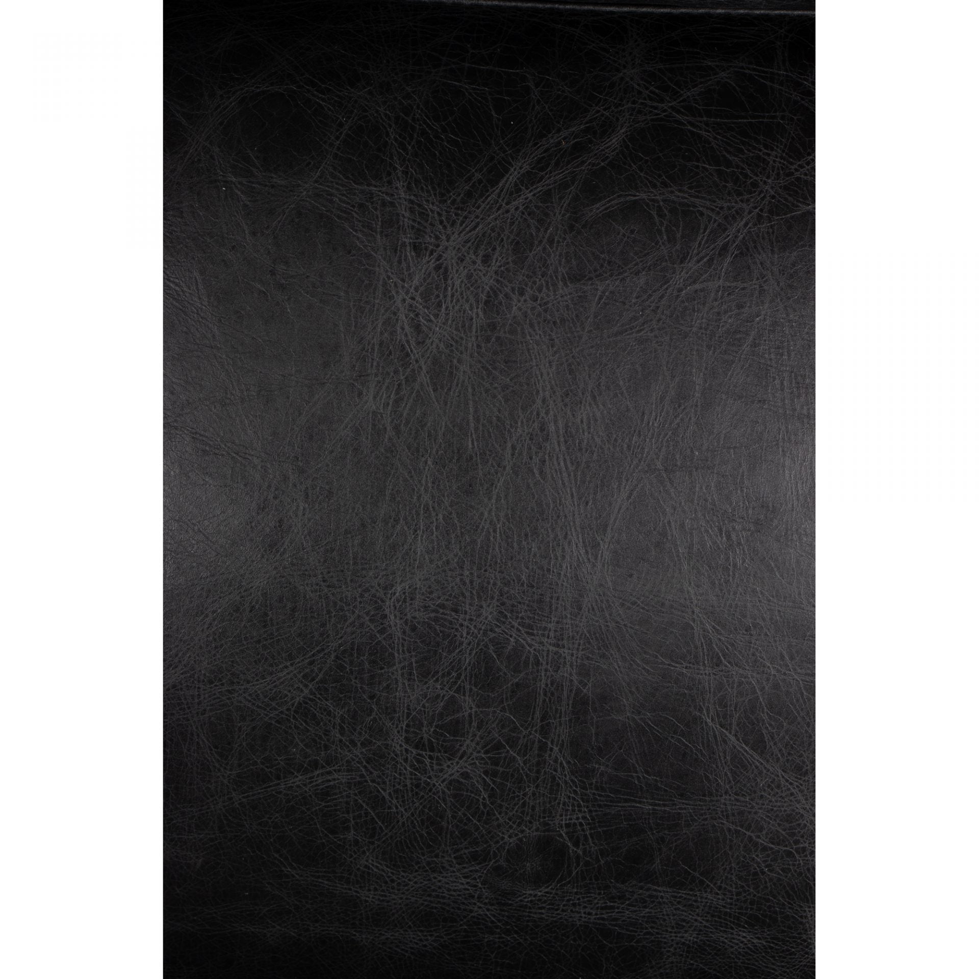 Paradiso Chair - Moe's