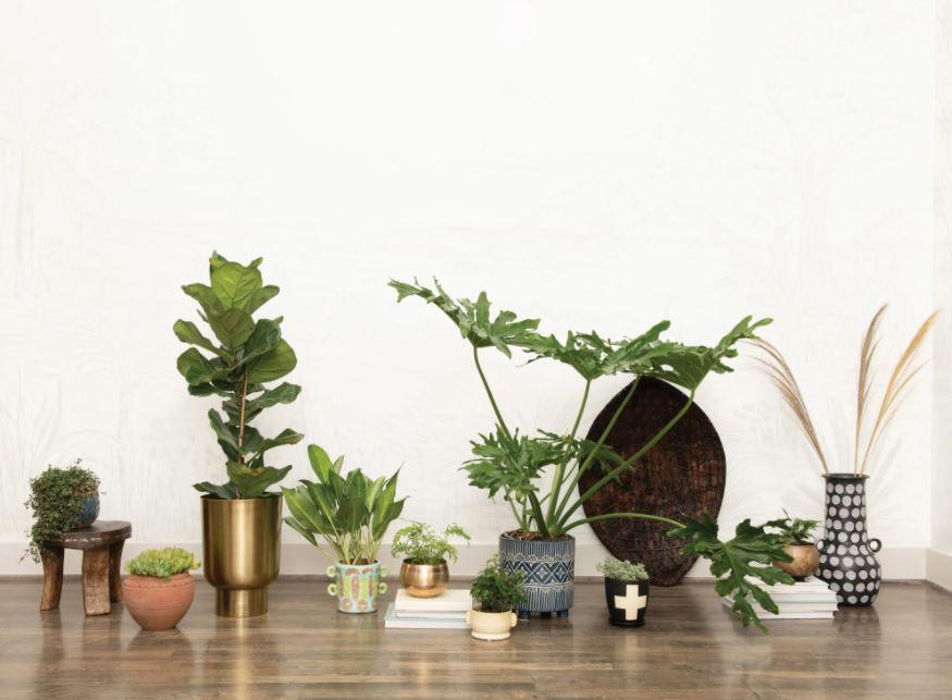 Handmade Swiss Cross Planter