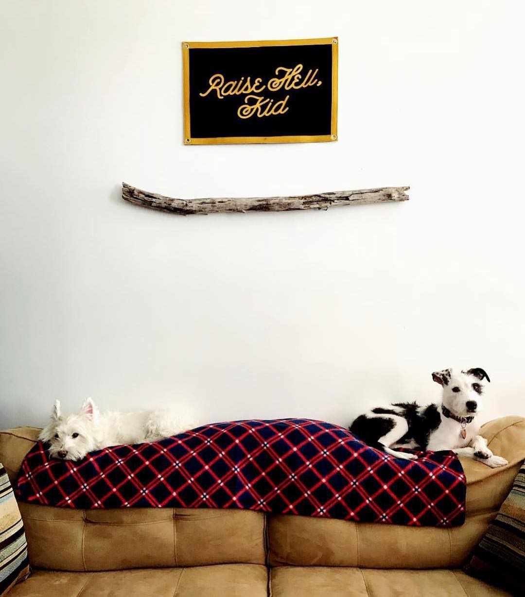 Raise Hell, Kid Camp Flag styled