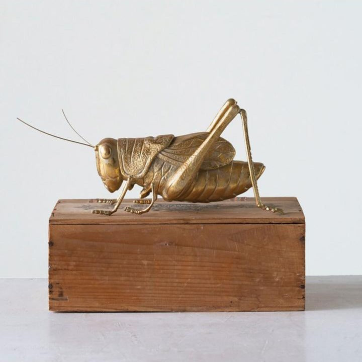 Resin Cricket - Creative Co-Op