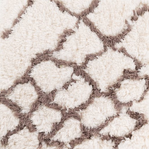 Ivory & Dark Brown Scout Rug - Surya