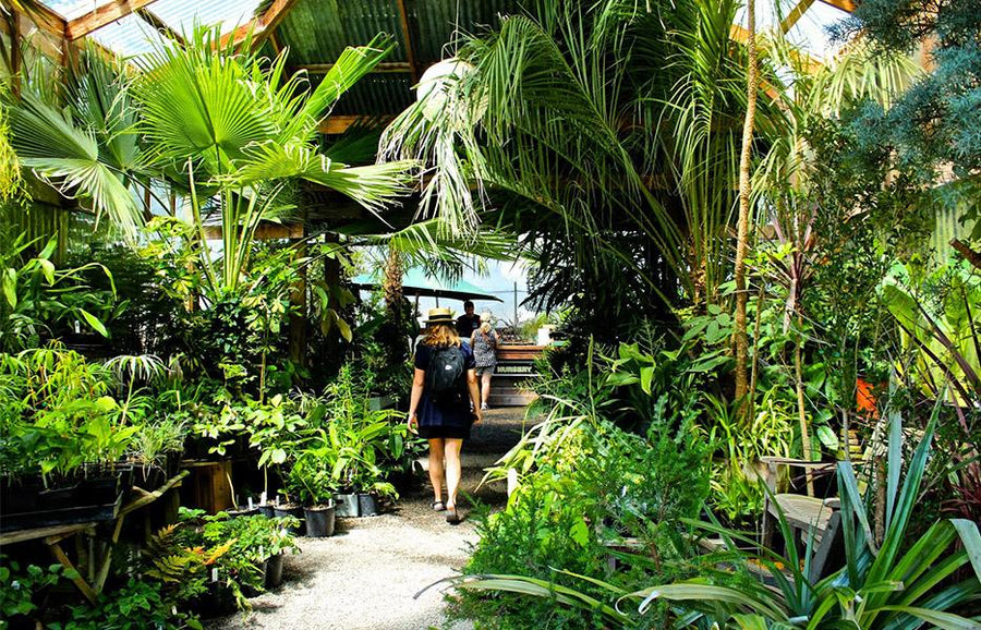 Botanical Fever:<br> Our Top 5 Plant Shops in PDX - City Home