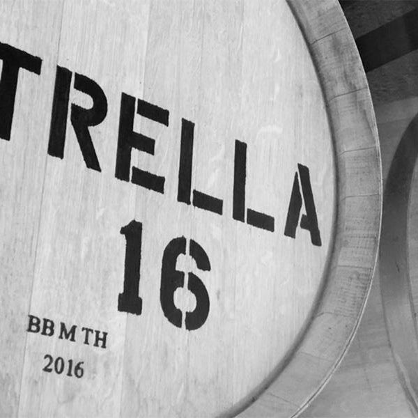 Gathering Spaces: <br>Trella Vineyards x City Home - City Home