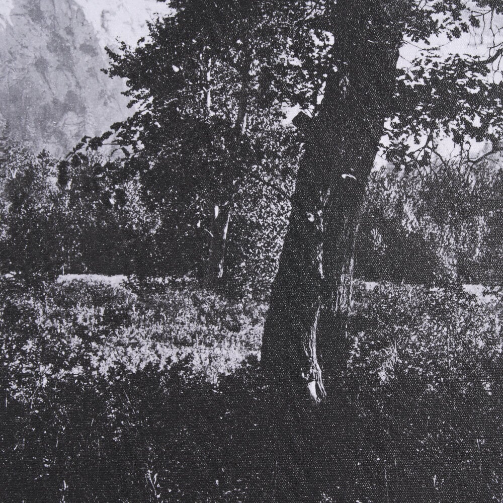 Yosemite Falls Framed Wall Art - close up of artwork