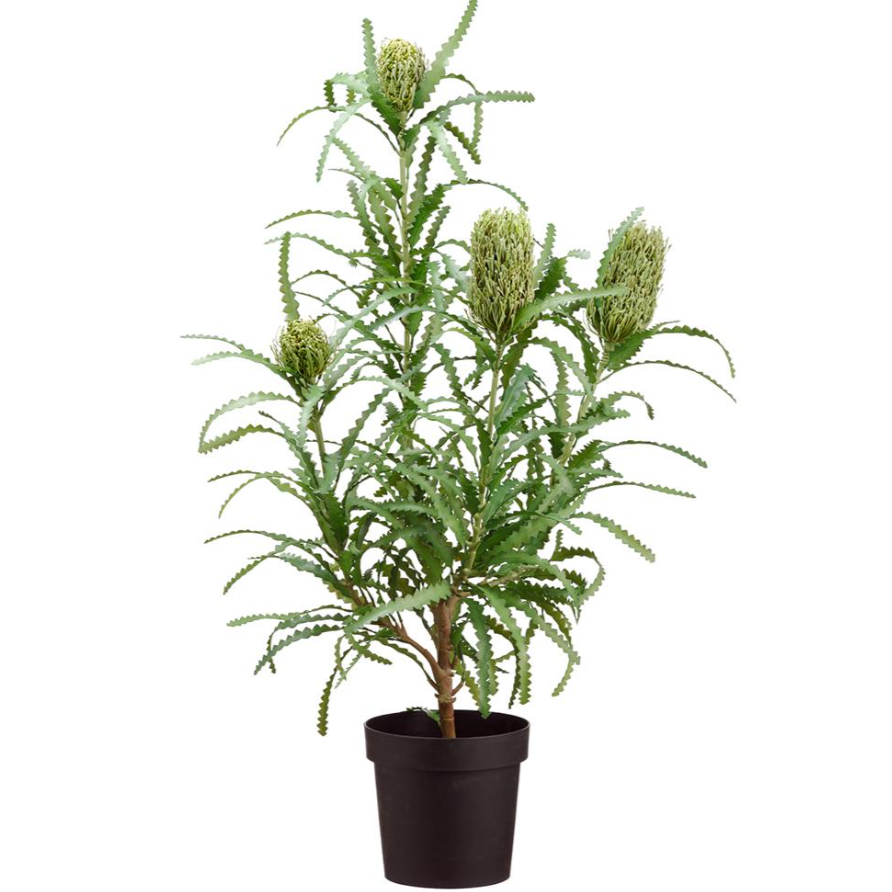Blooming Banksia Bush-Size 43": Available at City Home PDX