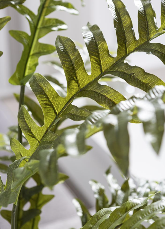 45" Fern in Zinc Planter: Up-Close Product View