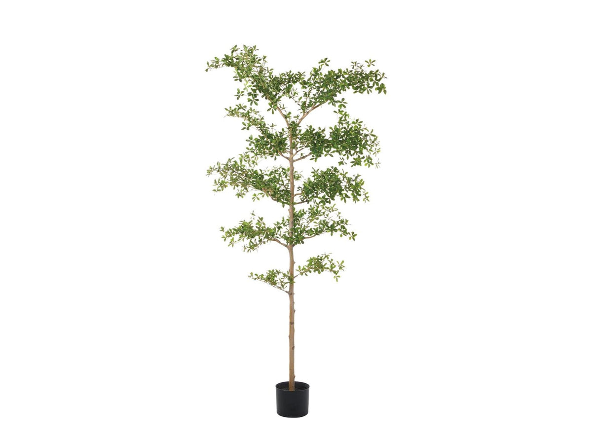 8' Faux Shady Lady Tree | Faux Plants & Planters | City Home PDX