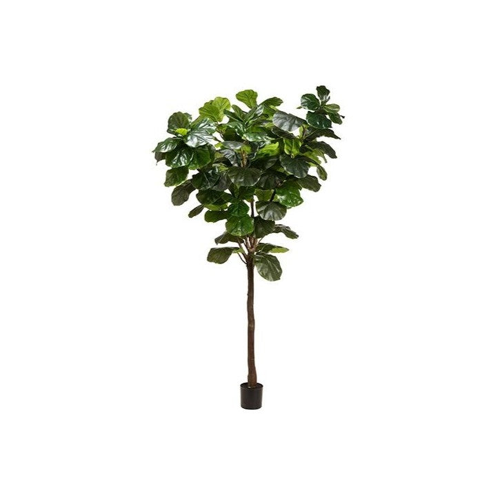 9' Eva Giant Fiddle Leaf Tree: Available at City Home PDX