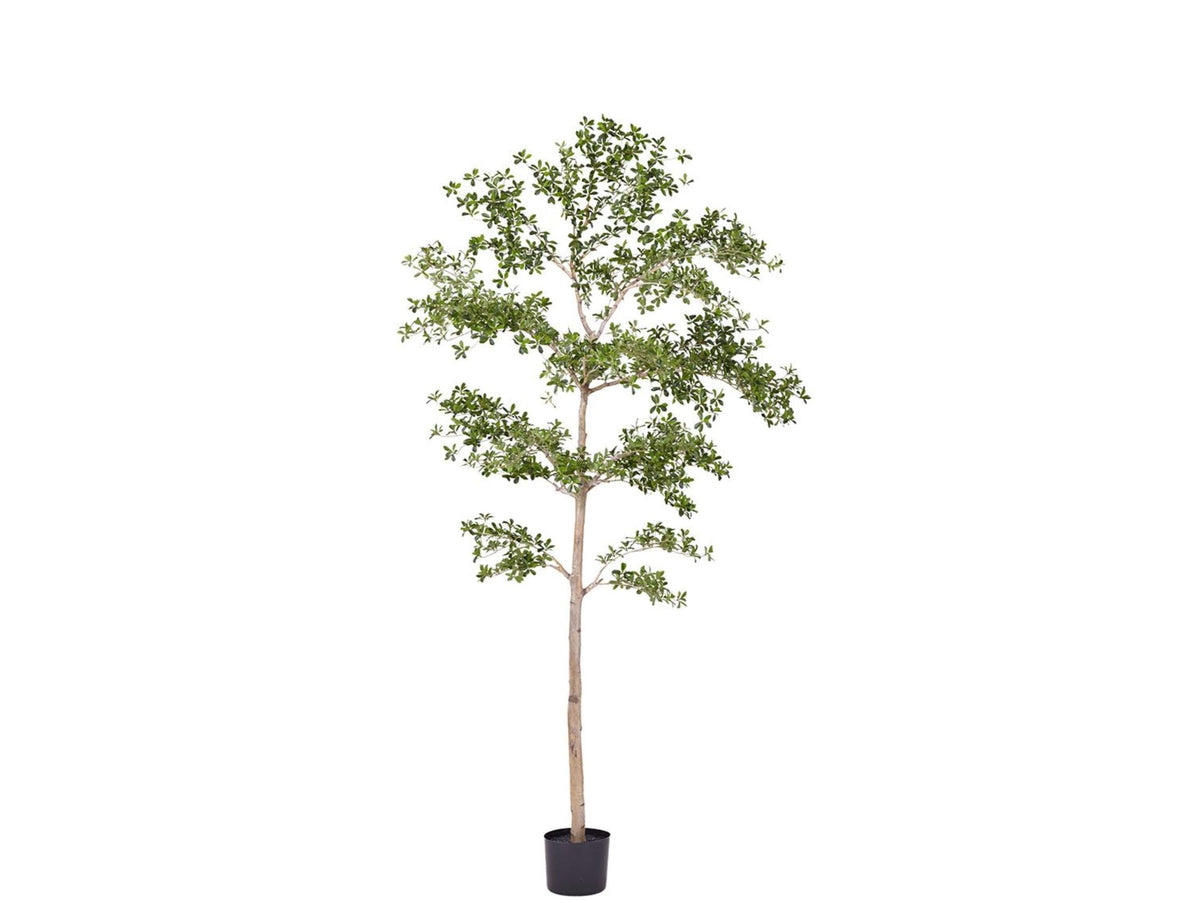 9' Faux Shady Lady Tree | Plants & Planters | City Home PDX