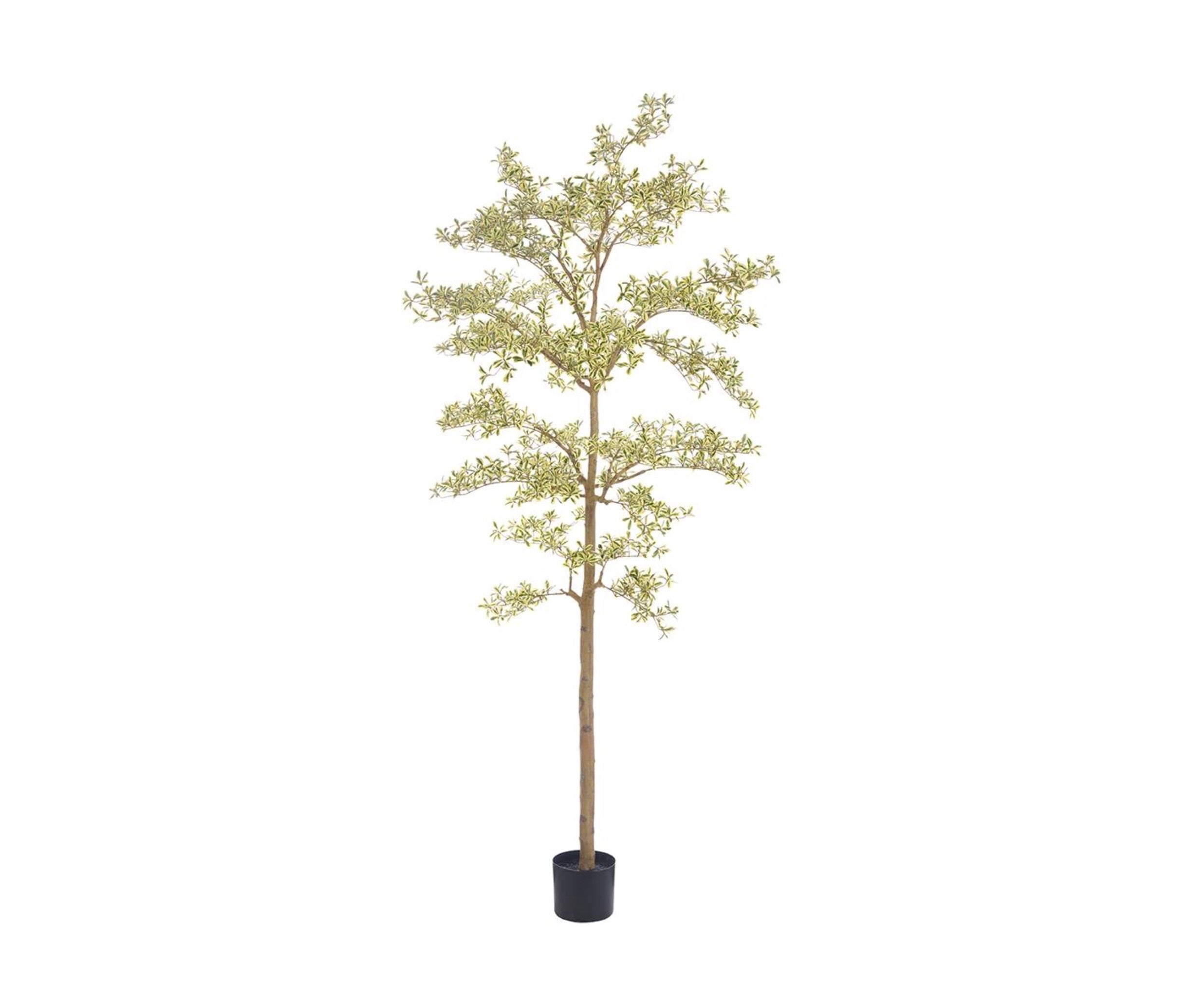 9' Faux Shady Lady Tree | Plants & Planters | City Home PDX
