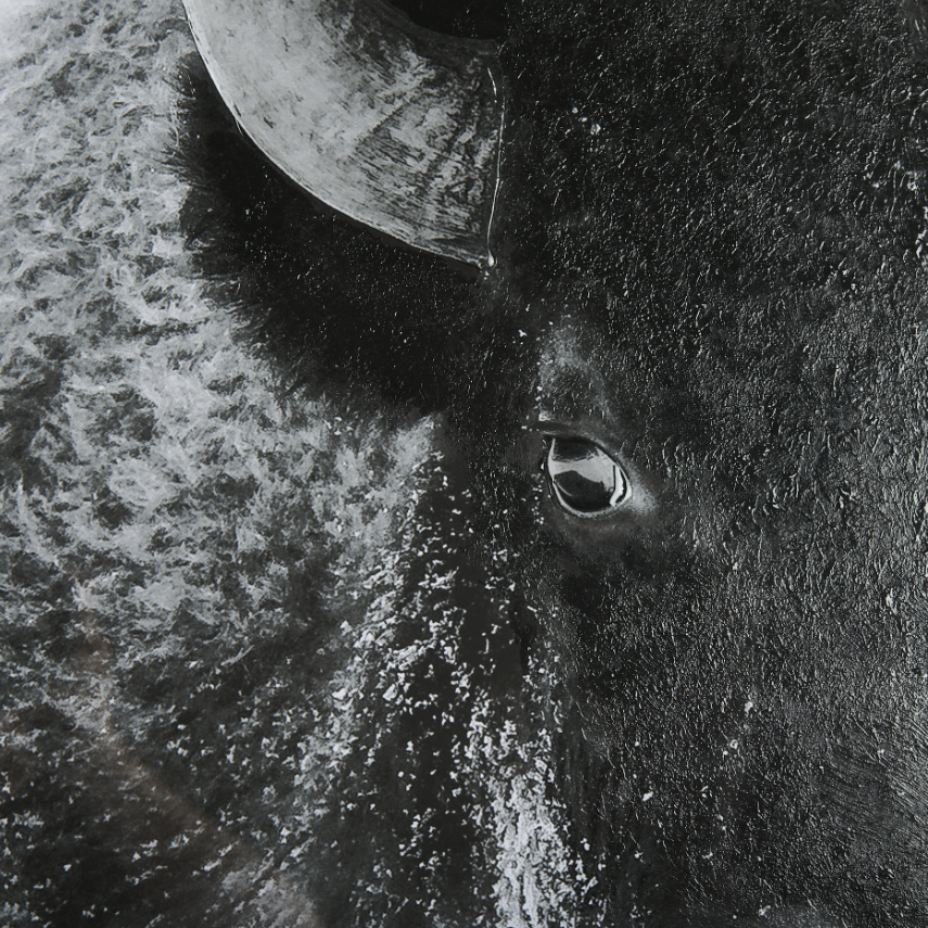 A Struggle Wall Art: Up-Close Print View