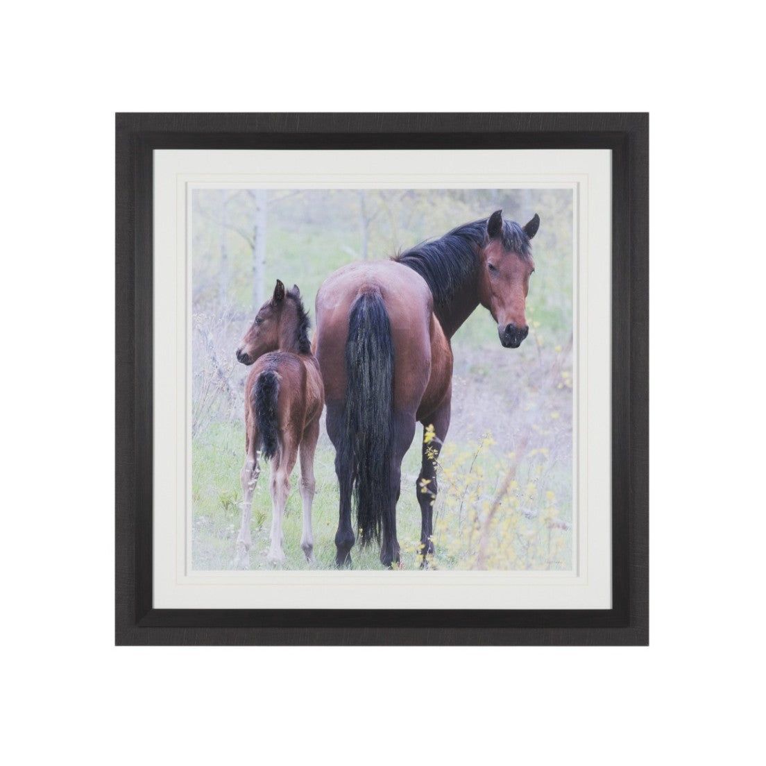 A Watchful Bond Wall Art: Available at City Home PDX