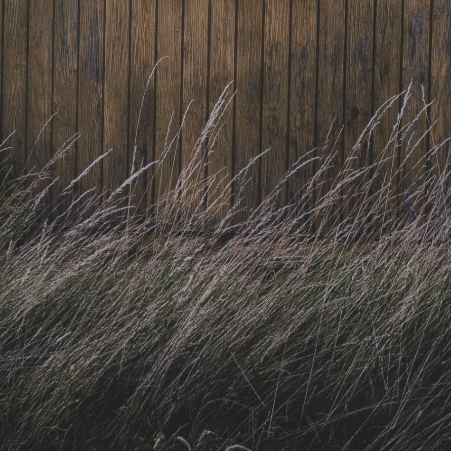 Beach Hut Wall Art: 2nd Up-Close Print View