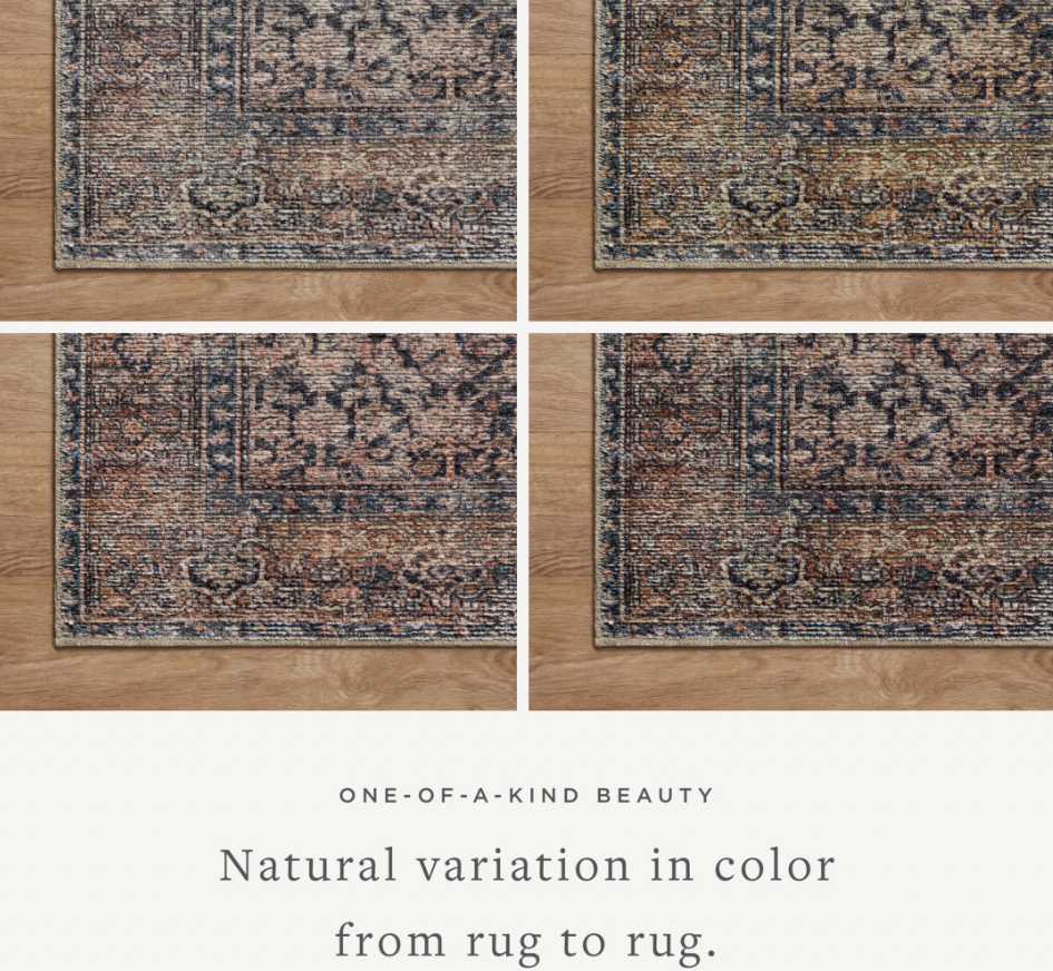Amber Lewis X Loloi Billie Rug in Ink/Salmon: Different Color Variation Product View