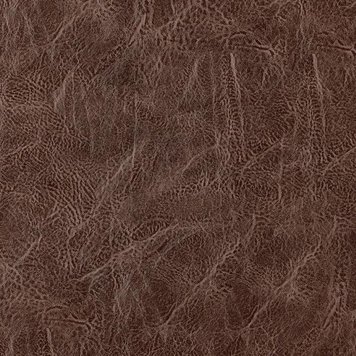 Bruce Dining Side Chair: Faux Leather Finish View