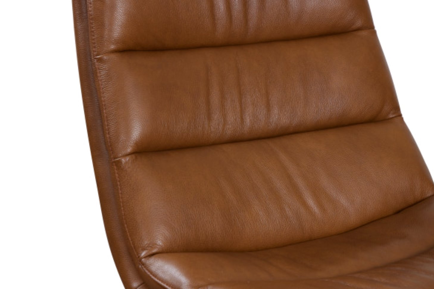 Cetus Leather Accent Chair: Up-Close Product View