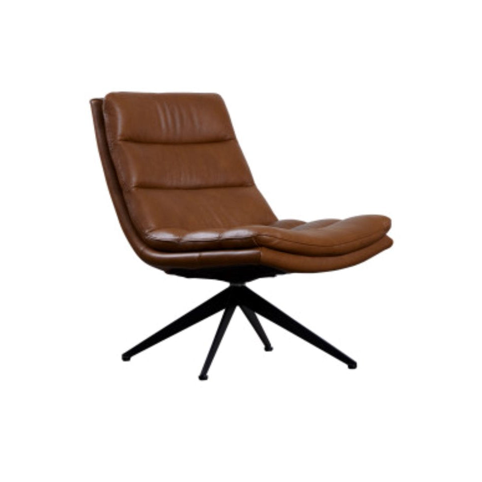 Cetus Leather Accent Chair: Product View