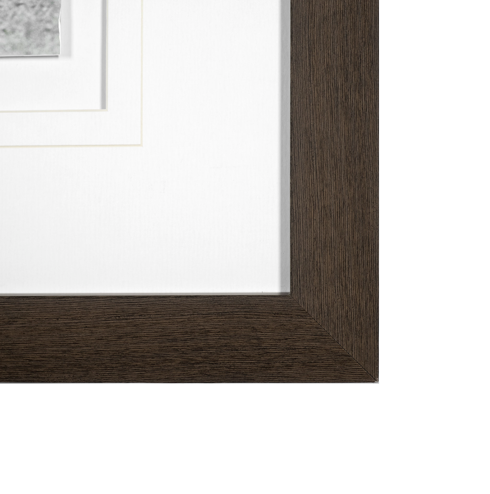 Curious Cub Framed Art Print: 2nd Product Corner View