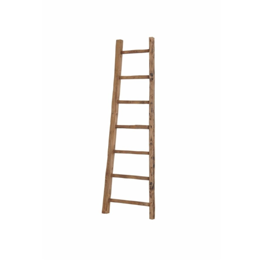 D-Bodhi Ladder: Available at City Home PDX