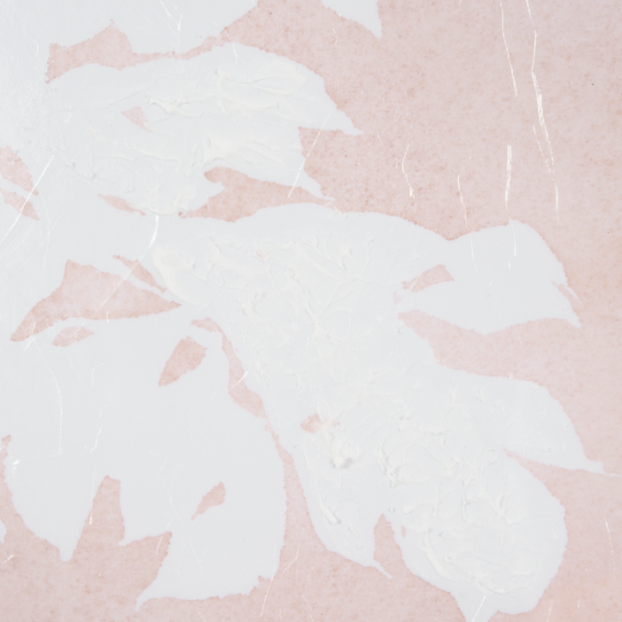 Peony Flower Silhouette Wall Art: Up-Close Print View