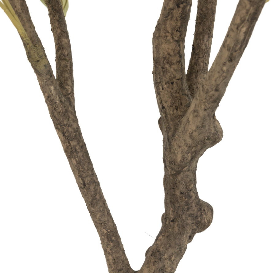 Faux Olive Tree: Up-Close Faux Branch View