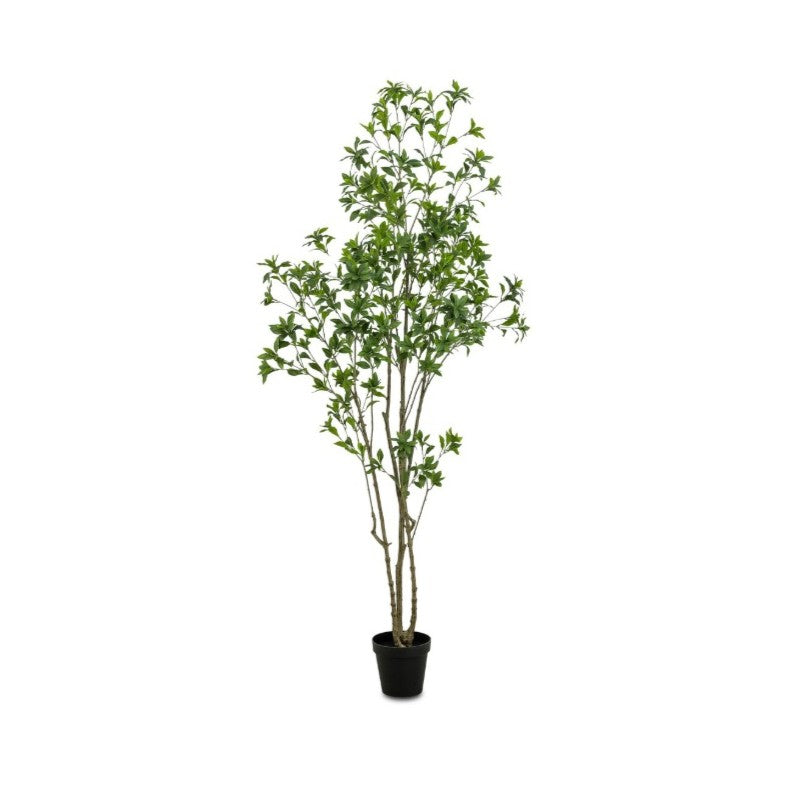 Faux Pieris Tree: Available at City Home PDX