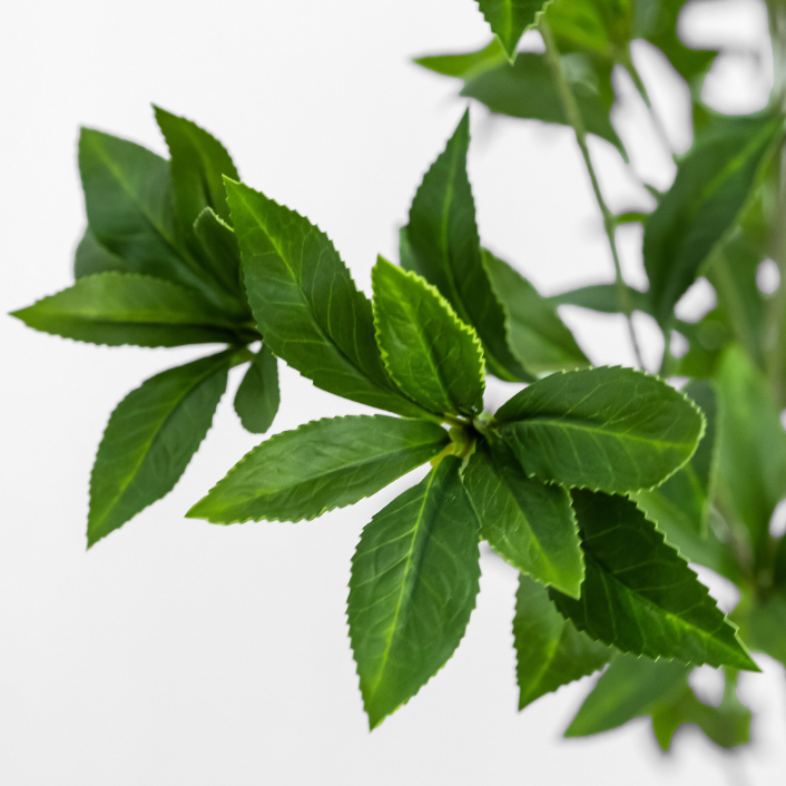 Faux Pieris Tree: Up-Close Product Leaf View