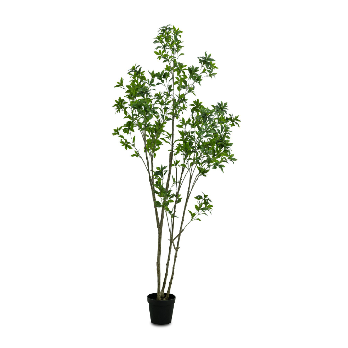 Faux Pieris Tree: Product View