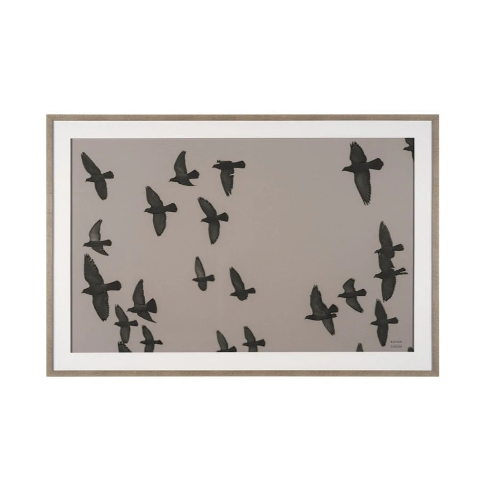 Flock I Wall Art: Available at City Home PDX