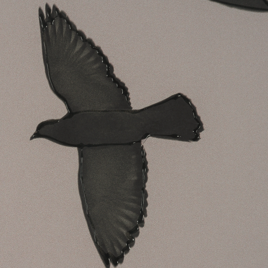 Flock I Wall Art: Hand-Embellished Detail View