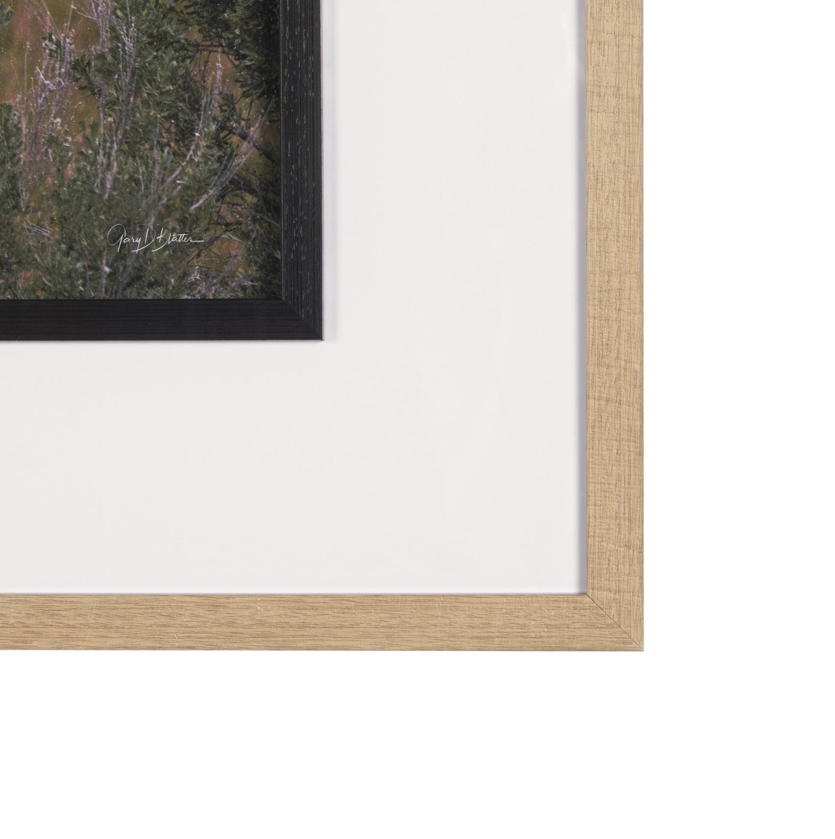 Longhorn 5 Wall Art: 2nd Product Frame View