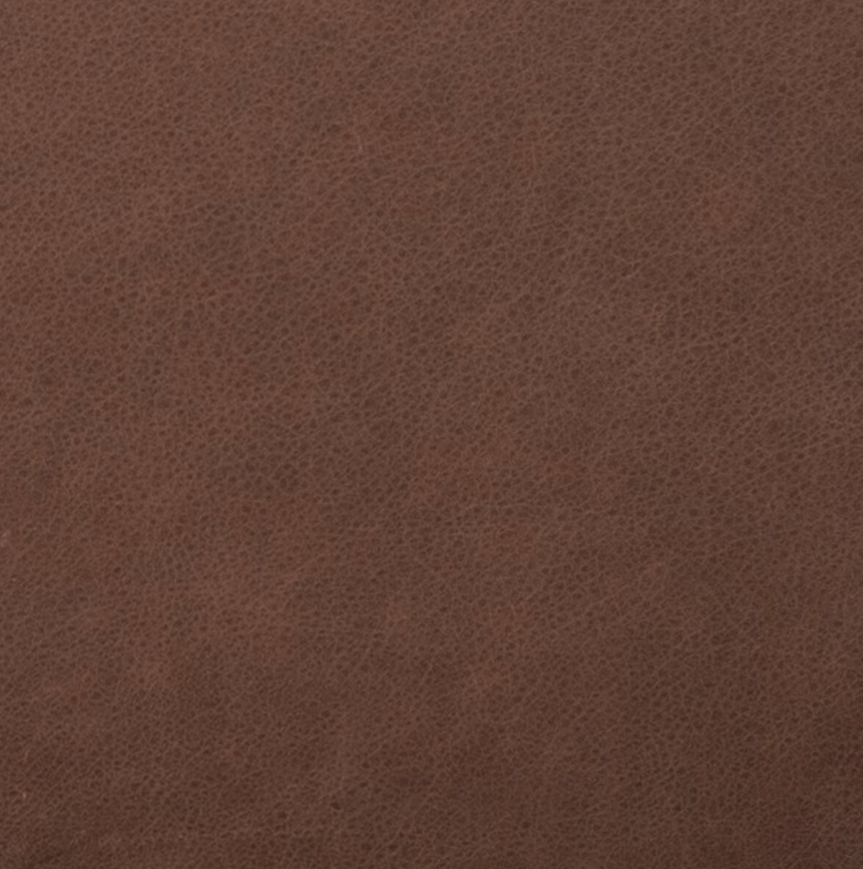 Markia Chair: Top-Grain Leather View