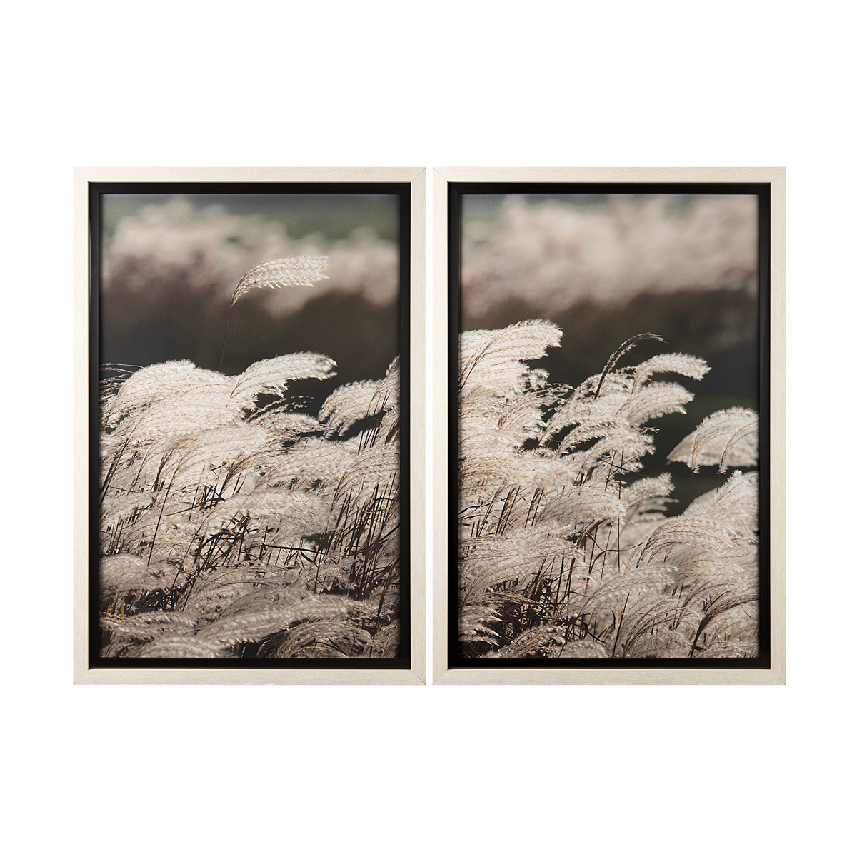 Nature's Melody Set of 2 Wall Art | Art | City Home PDX