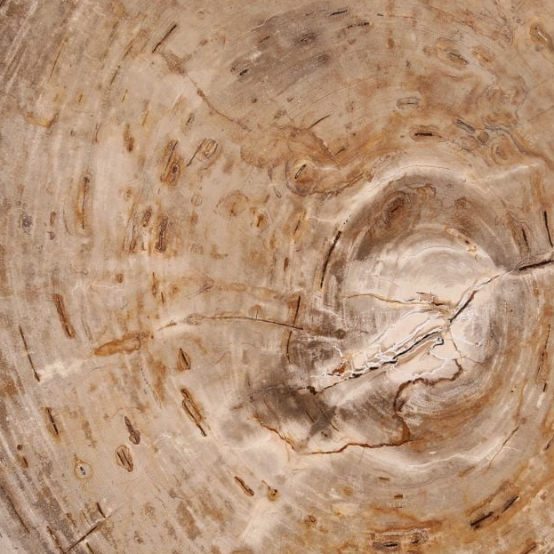 Sampson Coffee Table-Large: Up-Close Product Finish View