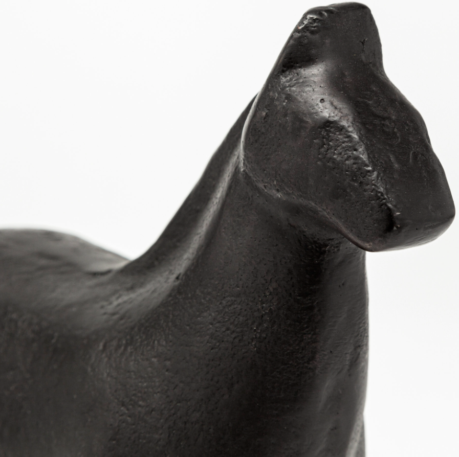 Sphynx II: Up-Close Product View 