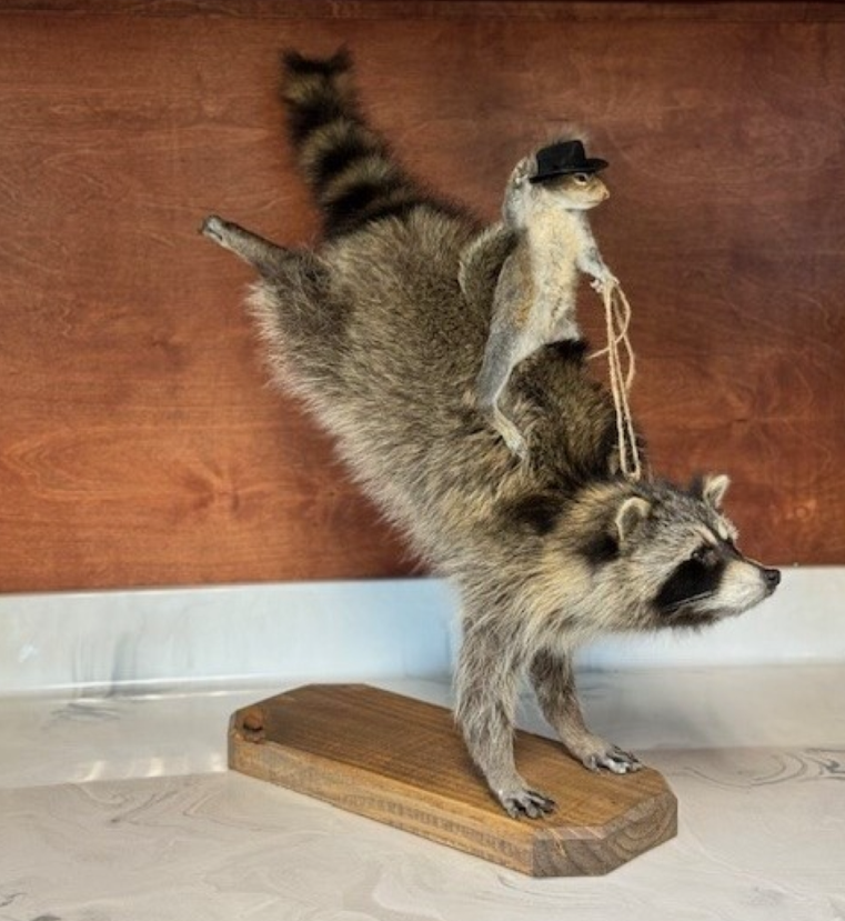 Western Raccoon with Squirrel-Buckin' Wild: Available at City Home PDX