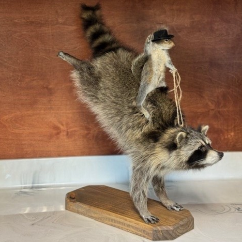 Vintage Taxidermy & Taxidermy Decor | City Home in Portland, Oregon
