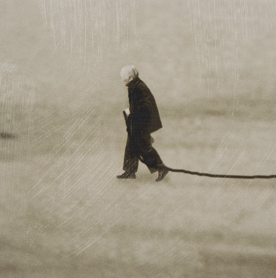 The Walk: Up-Close Product View