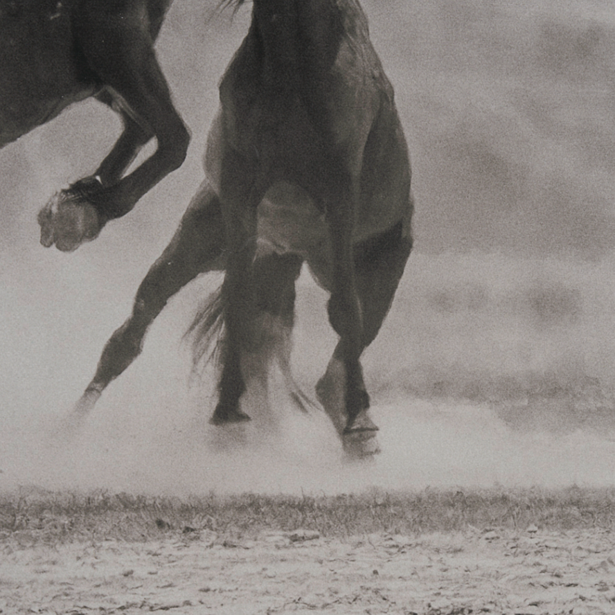 The Meeting Wall Art: 2nd Up-Close Print View