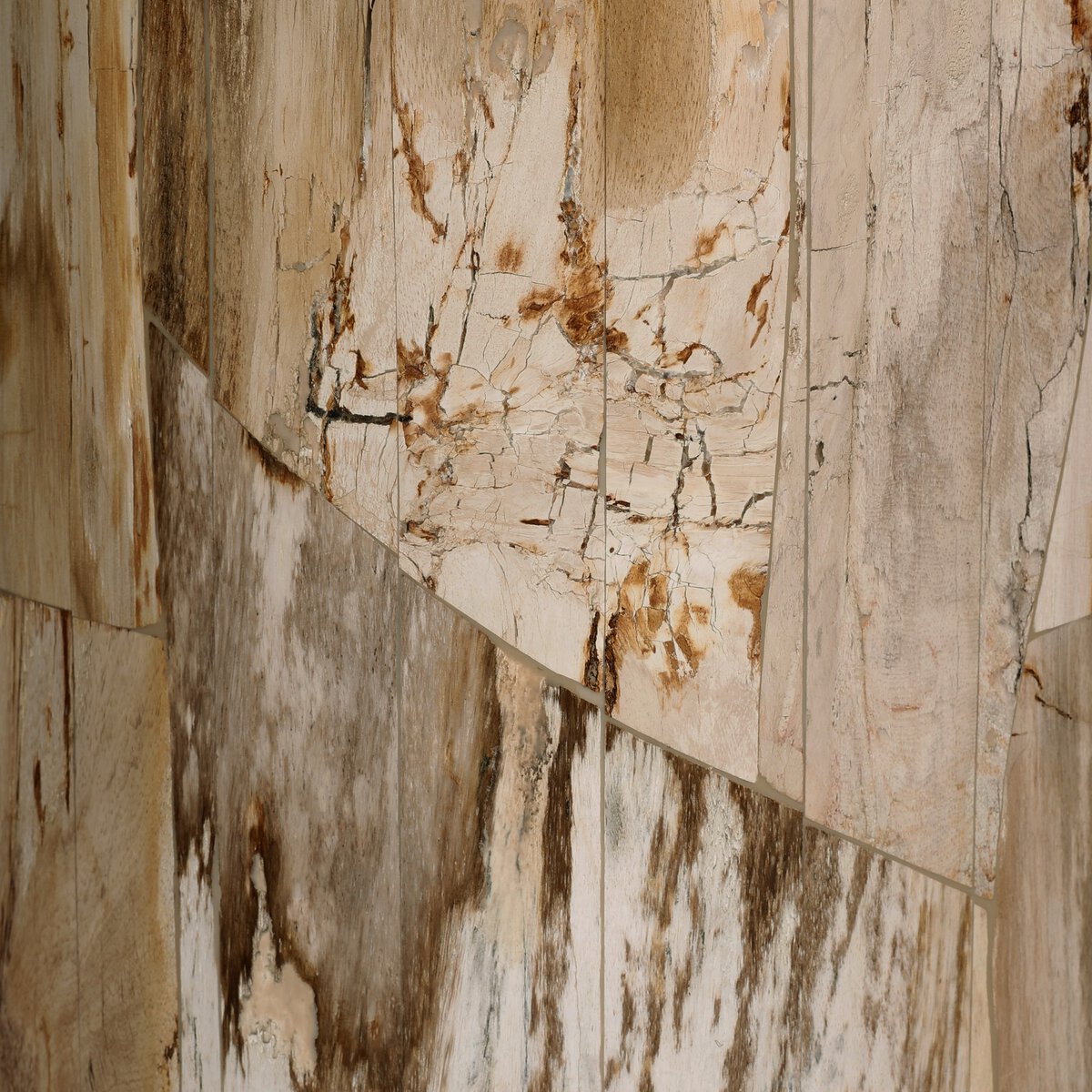 Aida End Table - detail view of petrified wood