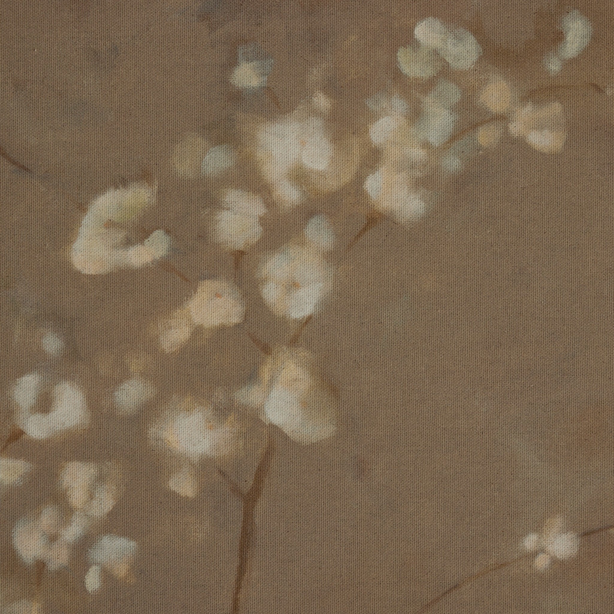 Sakura by Jess Engle Wall Art - detail view of artwork