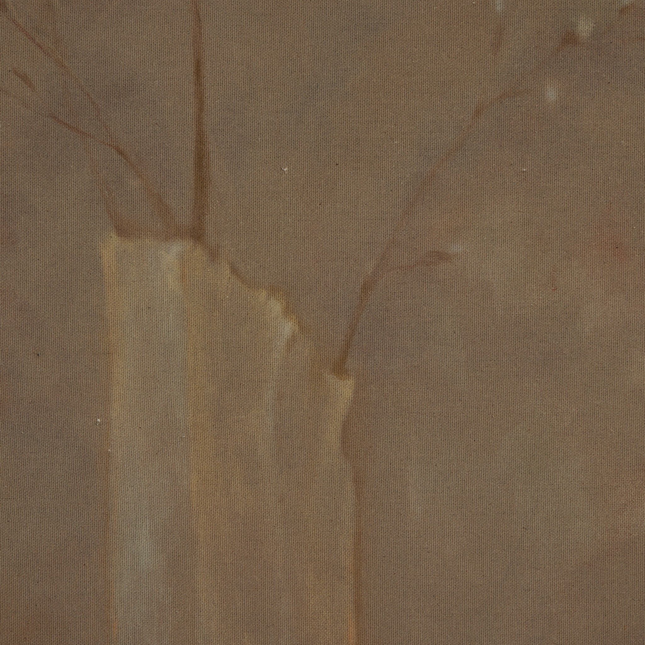 Sakura by Jess Engle Wall Art - detail view of artwork