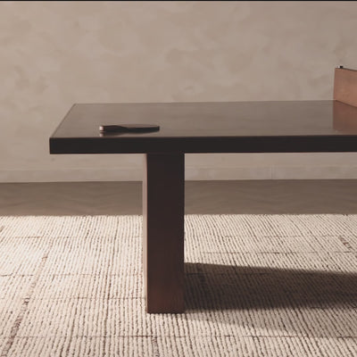 Bato Ping Pong Table: Product Video