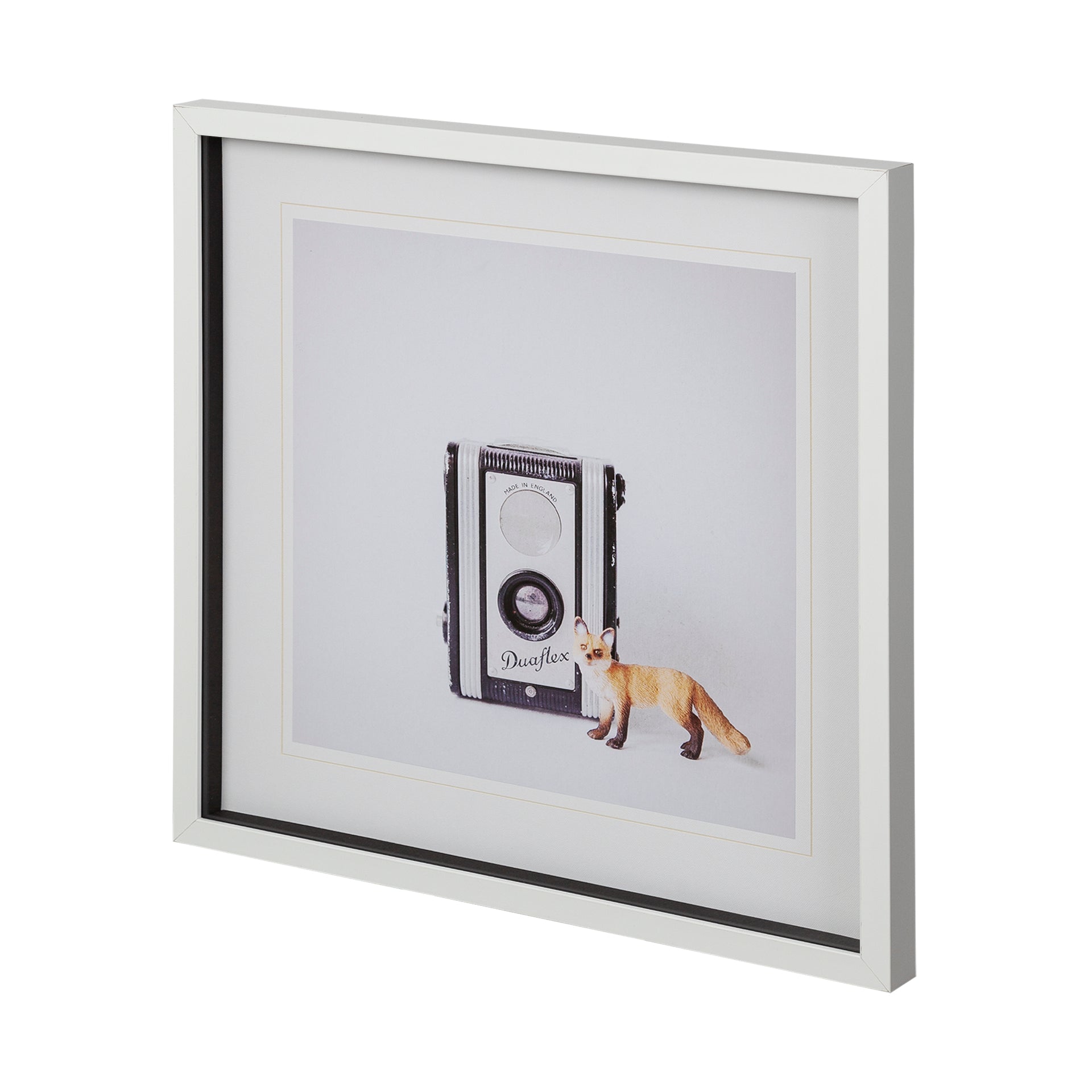 Fox & Vintage Camera