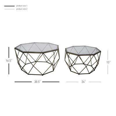 Mabel Glass Coffee Table Set of 2 - New Pacific Direct