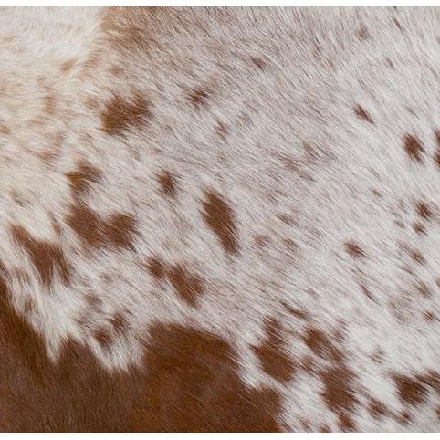 Genoa Cowhide Sling Chair - Porter