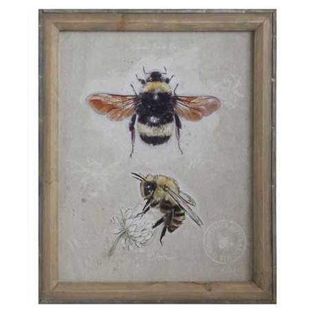 Framed Bee Prints - Creative Co-Op