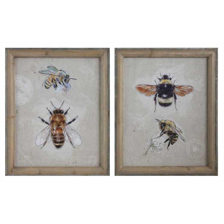Framed Bee Prints - Creative Co-Op