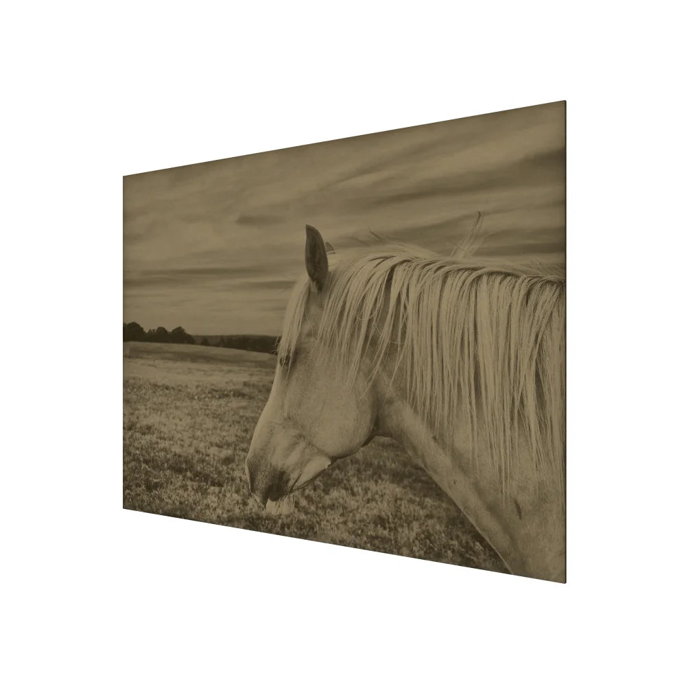 Horse in a Field Artwork in Ash Frame - shop large wall art in Portland at City Home PDX