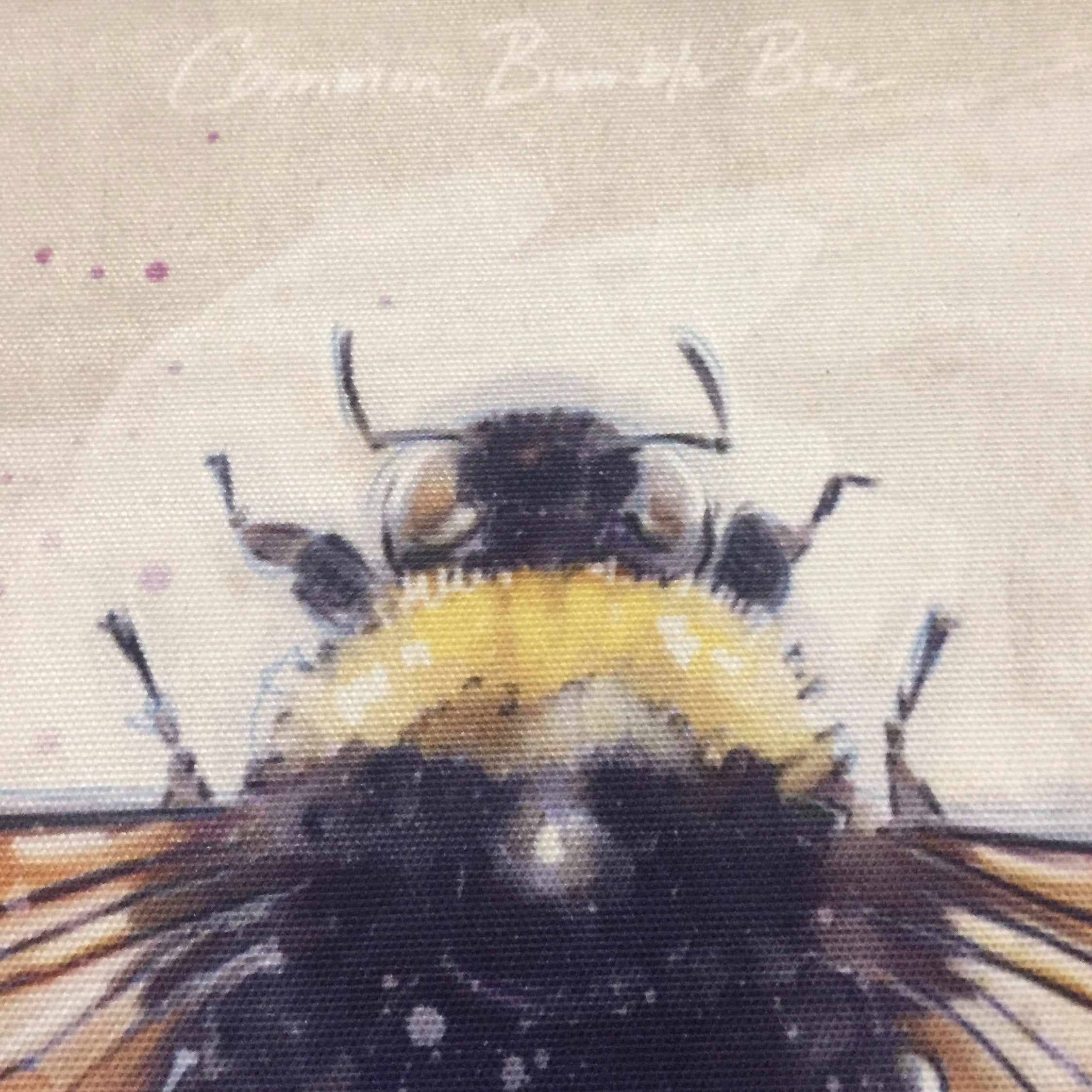 Framed Bee Prints - Creative Co-Op